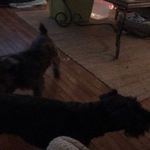 Meet your Posher, Tracey